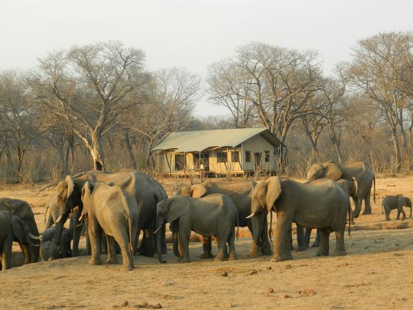 Zimbabwe