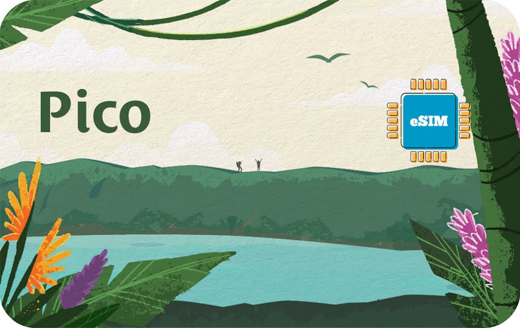 Banner Azores