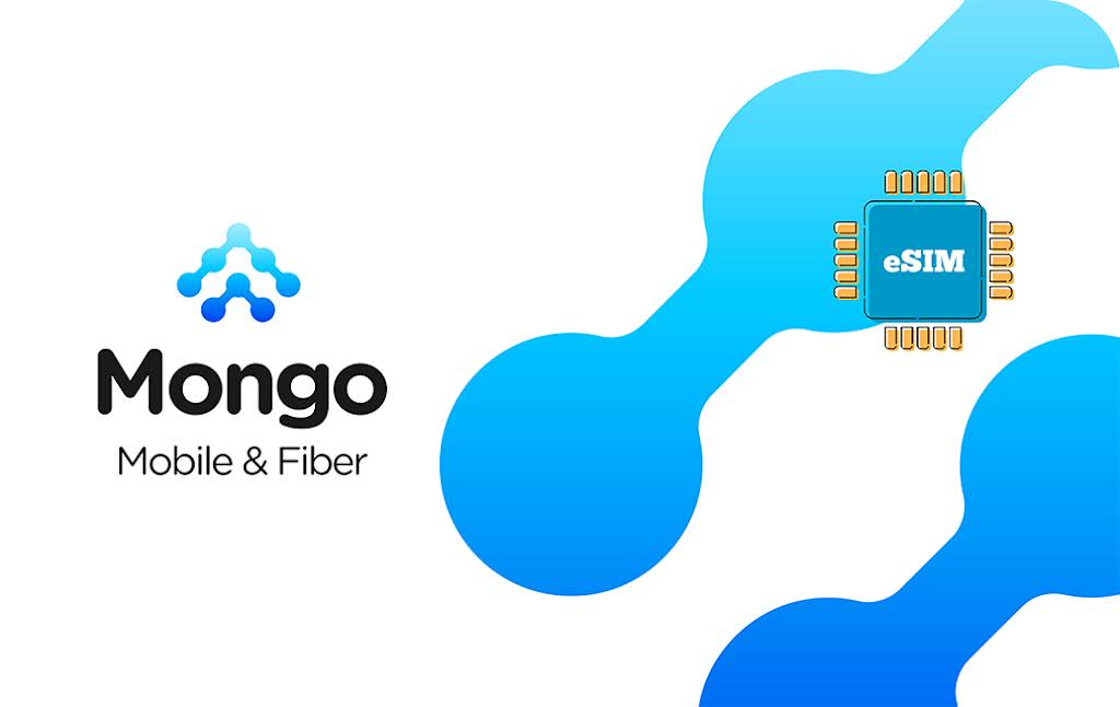 Banner Mongolia